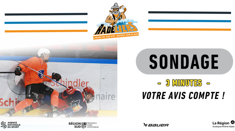 Questionnaire sur les valeurs du hockey sur glace