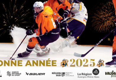 ✨🏒Bonne année 2025 ✨🏒