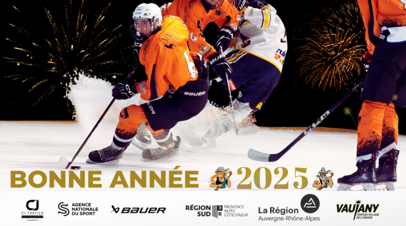 ✨🏒Bonne année 2025 ✨🏒