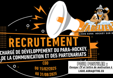 Recrutement : Chargé.e de développement du Para-Hockey, de la communication et des partenariats